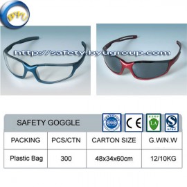 safety goggle D-2022-2023